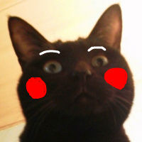 f:id:nyangoro:20121208153719j:image f:id:nyangoro:20121208153719j:image