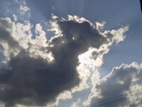 f:id:nyangoro:20140321163721j:image f:id:nyangoro:20140321163721j:image