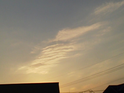 f:id:nyangoro:20141224202938j:image f:id:nyangoro:20141224202938j:image