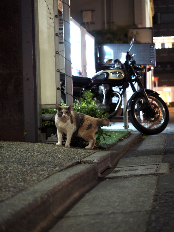 f:id:nyansnyans:20150511205250j:plain f:id:nyansnyans:20150511205250j:plain