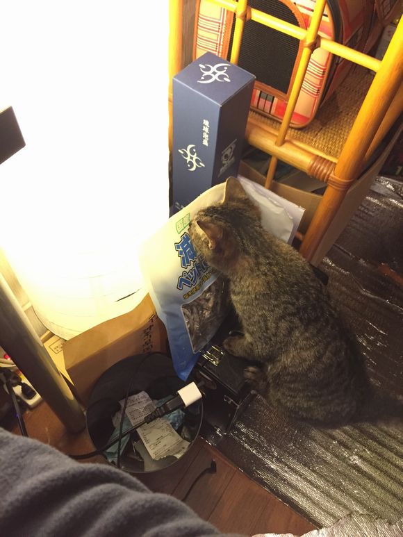 f:id:nyansnyans:20151219000627j:plain f:id:nyansnyans:20151219000627j:plain