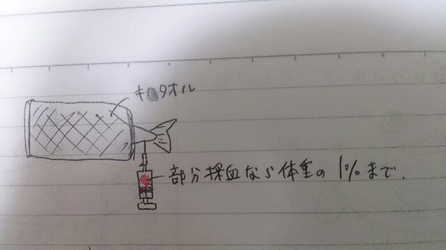 f:id:nyansu-nyan:20150617185652j:plain f:id:nyansu-nyan:20150617185652j:plain