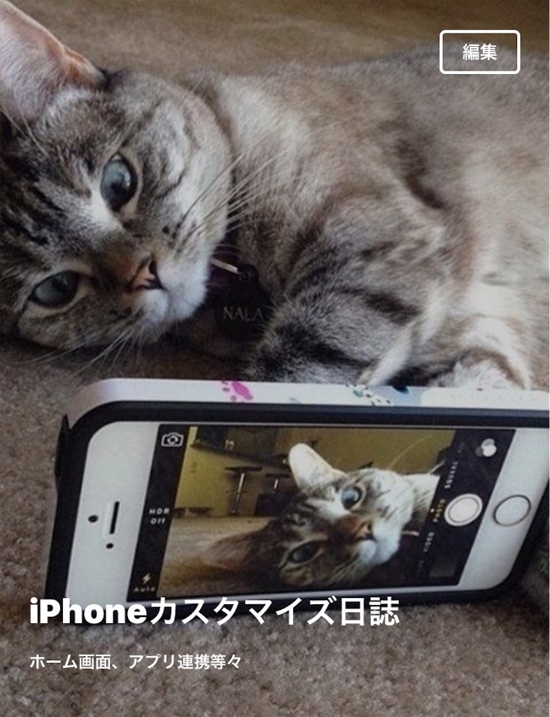 f:id:nyaobin:20151115054311j:image f:id:nyaobin:20151115054311j:image