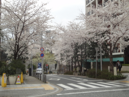 f:id:nyaofunhouse:20130323124049j:image