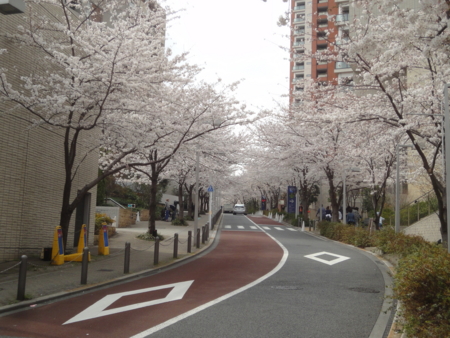 f:id:nyaofunhouse:20130323124403j:image