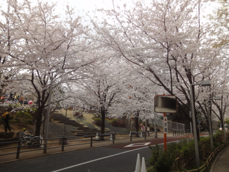 f:id:nyaofunhouse:20130323124634j:image