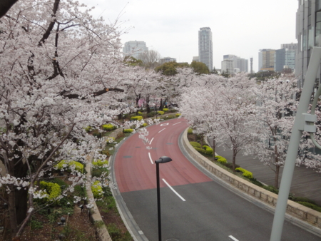 f:id:nyaofunhouse:20130323130636j:image