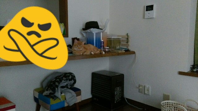 f:id:nyarome12:20160611183555j:image f:id:nyarome12:20160611183555j:image