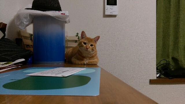 f:id:nyarome12:20160615170254j:image f:id:nyarome12:20160615170254j:image