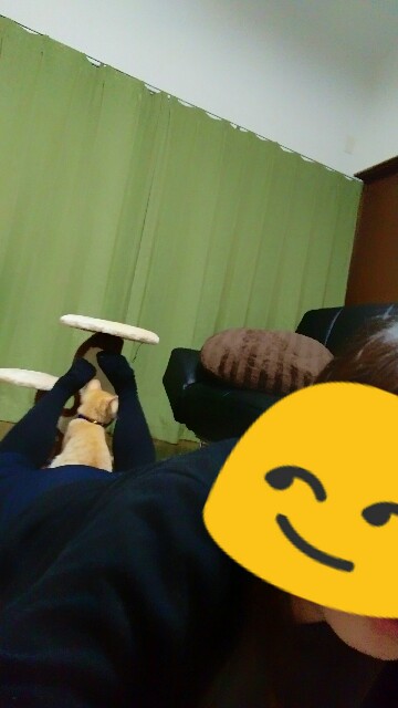 f:id:nyarome12:20160616235804j:image f:id:nyarome12:20160616235804j:image