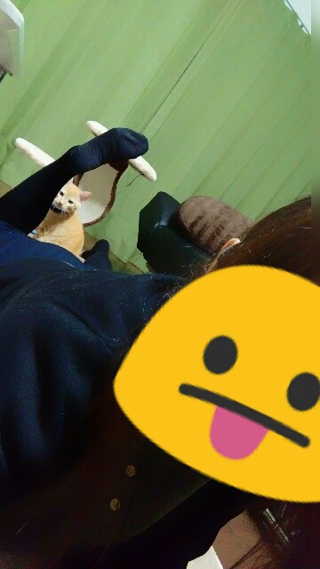 f:id:nyarome12:20160616235828j:image f:id:nyarome12:20160616235828j:image