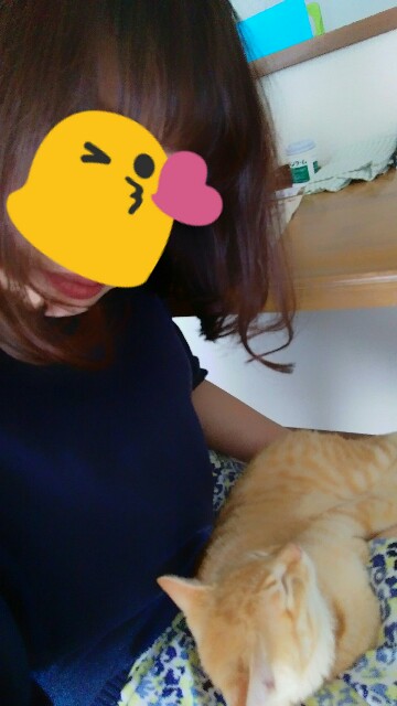 f:id:nyarome12:20160621001859j:image f:id:nyarome12:20160621001859j:image