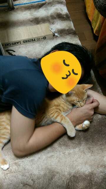 f:id:nyarome12:20160701205756j:image f:id:nyarome12:20160701205756j:image