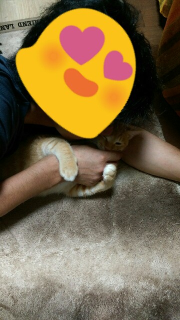 f:id:nyarome12:20160701205905j:image f:id:nyarome12:20160701205905j:image