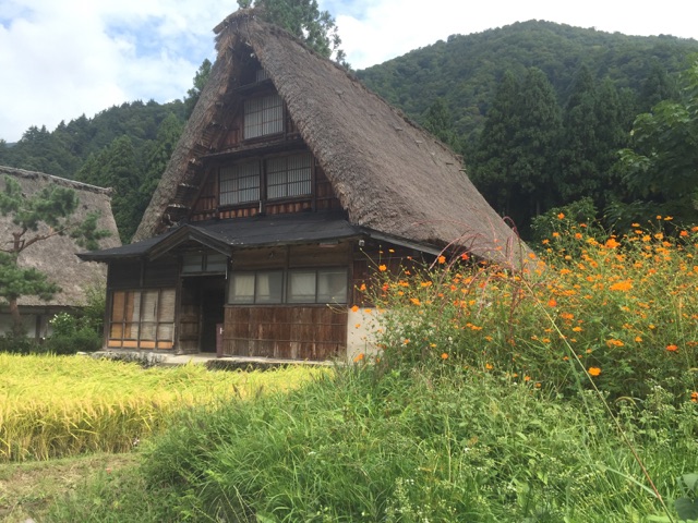 f:id:nyarumeku:20151001074951j:plain