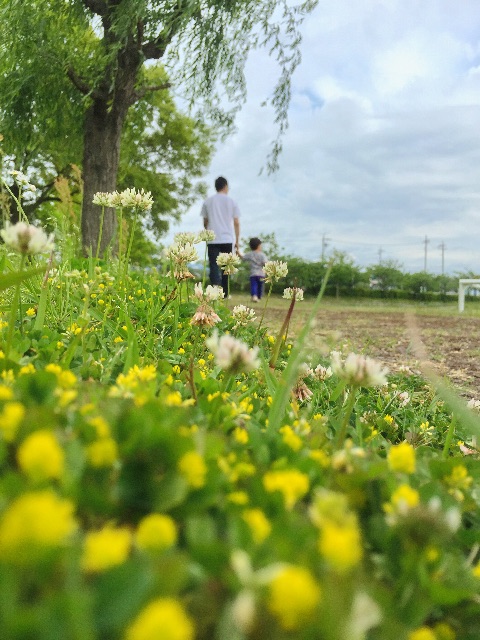 f:id:nyokki2goochan:20150503145508j:image f:id:nyokki2goochan:20150503145508j:image