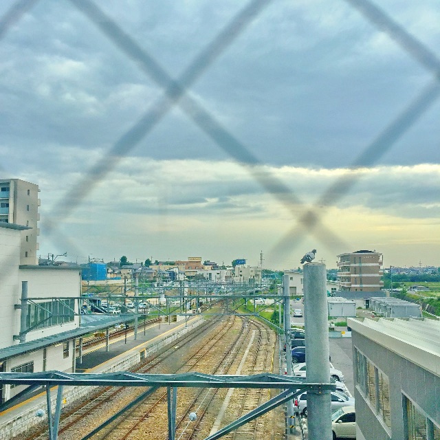 f:id:nyokki2goochan:20150514173259j:image f:id:nyokki2goochan:20150514173259j:image
