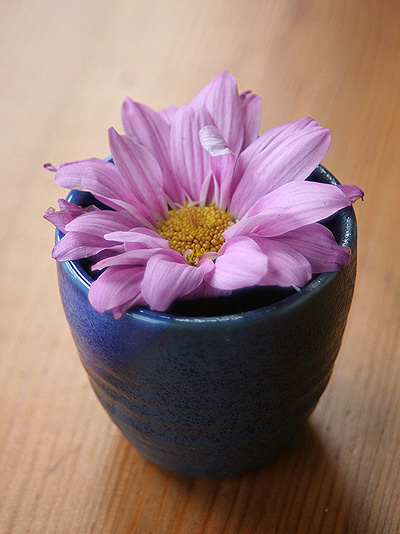 お猪口とお花