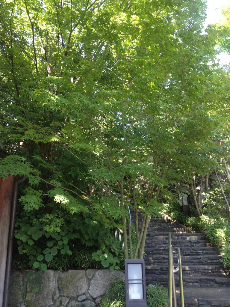 f:id:nywreiko:20150820234213j:image f:id:nywreiko:20150820234213j:image