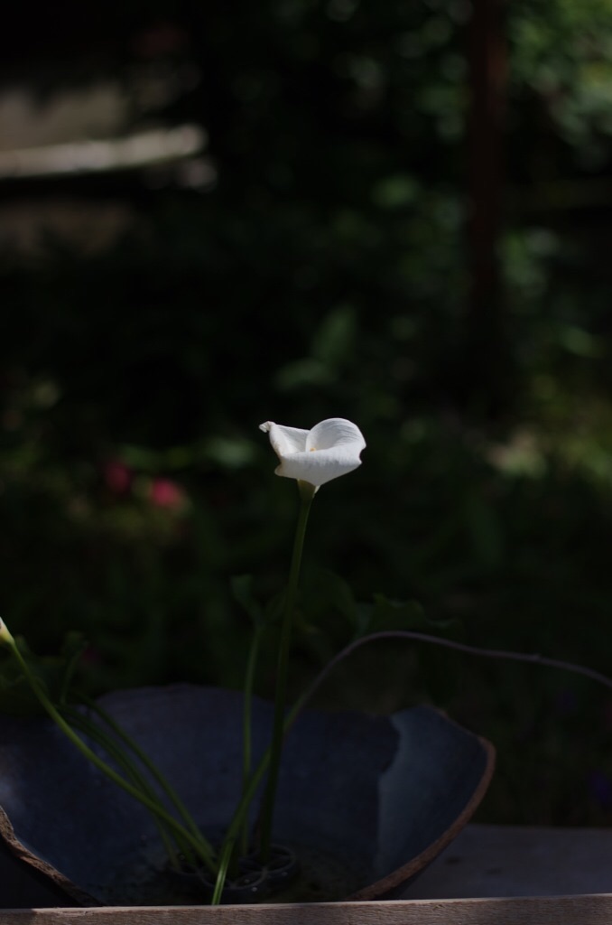 f:id:o0oo0o:20150729234829j:image f:id:o0oo0o:20150729234829j:image