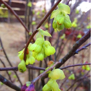 f:id:oakoak:20140303163710j:plain f:id:oakoak:20140303163710j:plain