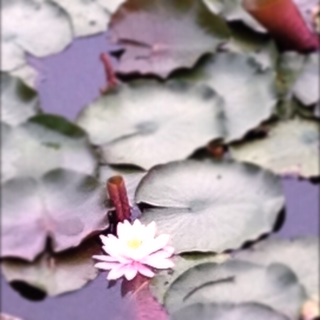 f:id:oakoak:20140828075507j:plain f:id:oakoak:20140828075507j:plain
