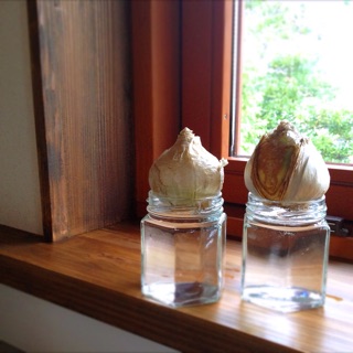 f:id:oakoak:20141031152044j:plain f:id:oakoak:20141031152044j:plain