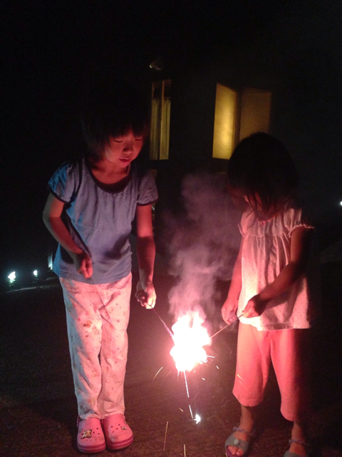 f:id:oasismath:20130724212400j:plain f:id:oasismath:20130724212400j:plain