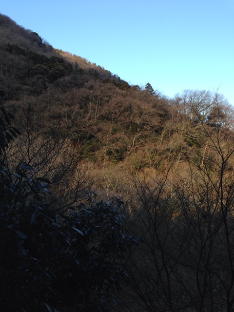 f:id:oasismath:20140118204303j:plain f:id:oasismath:20140118204303j:plain