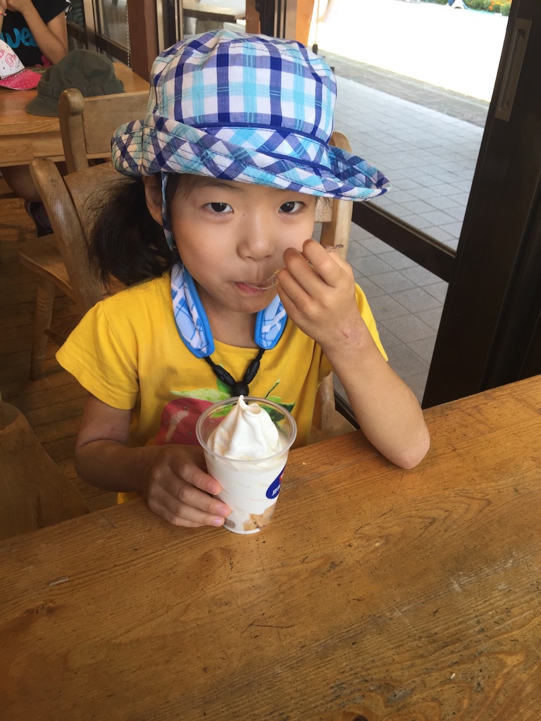 f:id:oasismath:20150727131246j:image f:id:oasismath:20150727131246j:image
