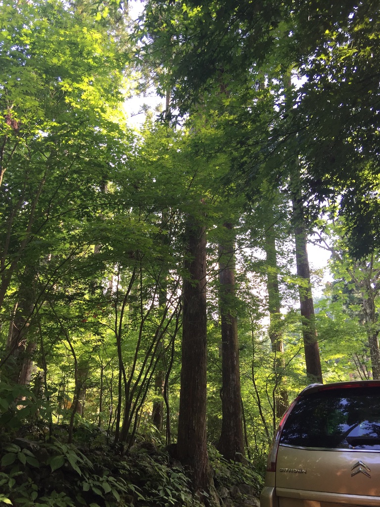 f:id:oasismath:20150728170927j:image f:id:oasismath:20150728170927j:image