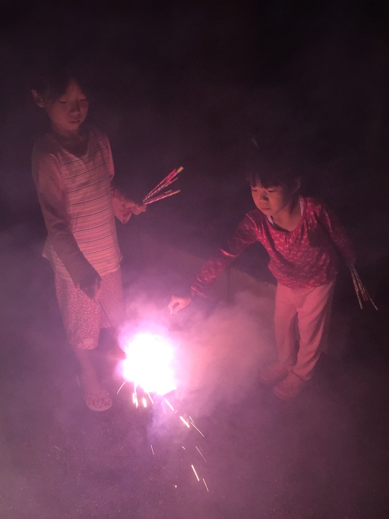 f:id:oasismath:20150728171624j:image f:id:oasismath:20150728171624j:image