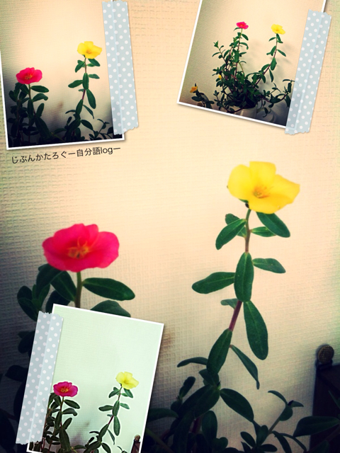 f:id:ocasira:20131008101158j:plain f:id:ocasira:20131008101158j:plain