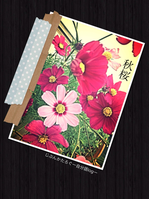 f:id:ocasira:20131011153958j:plain f:id:ocasira:20131011153958j:plain