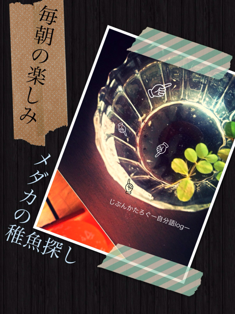 f:id:ocasira:20131028145133j:plain f:id:ocasira:20131028145133j:plain