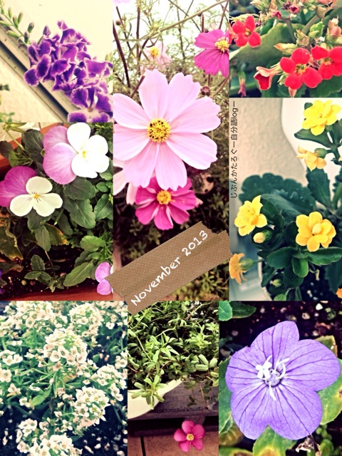 f:id:ocasira:20131109145418j:plain f:id:ocasira:20131109145418j:plain
