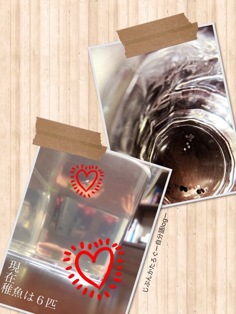 f:id:ocasira:20131112135838j:plain f:id:ocasira:20131112135838j:plain