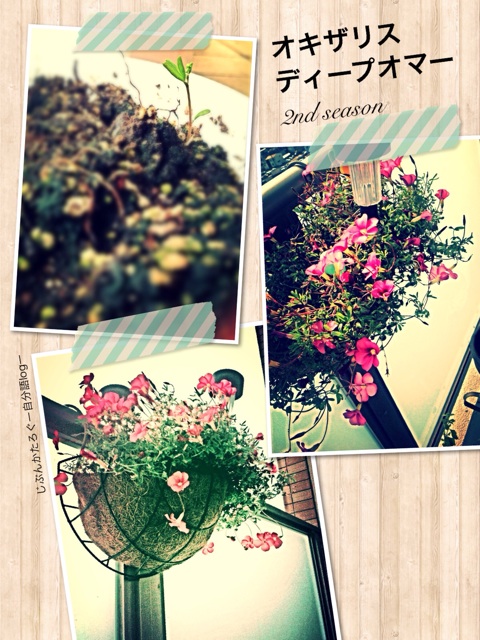 f:id:ocasira:20131209122137j:plain f:id:ocasira:20131209122137j:plain