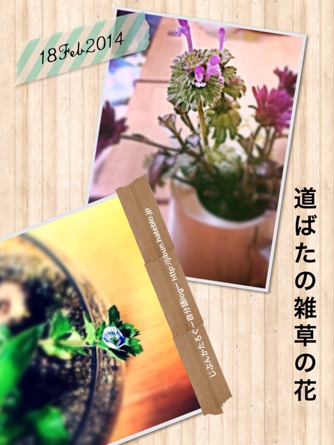 f:id:ocasira:20140218191202j:plain f:id:ocasira:20140218191202j:plain