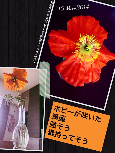 f:id:ocasira:20140315122741j:plain f:id:ocasira:20140315122741j:plain