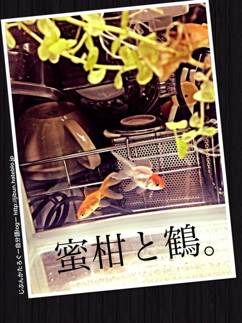 f:id:ocasira:20140323220832j:plain f:id:ocasira:20140323220832j:plain