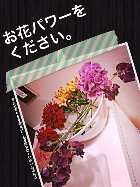 f:id:ocasira:20140329111034j:plain f:id:ocasira:20140329111034j:plain