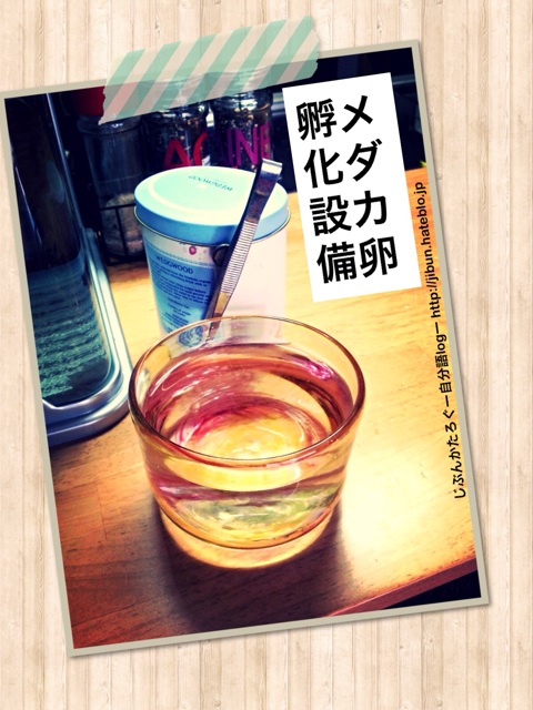 f:id:ocasira:20140402150226j:plain f:id:ocasira:20140402150226j:plain