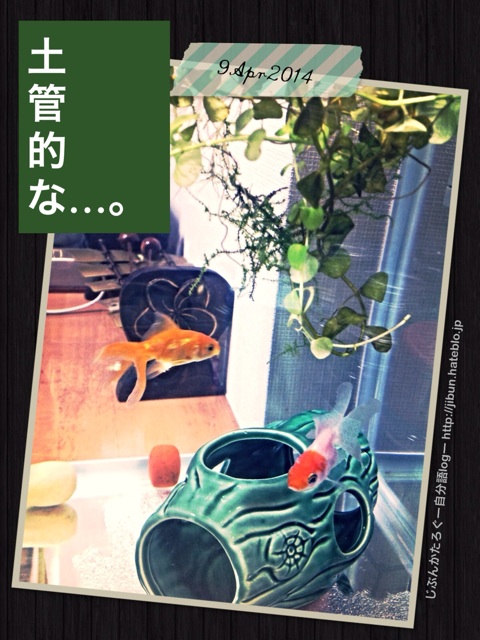 f:id:ocasira:20140409213219j:plain f:id:ocasira:20140409213219j:plain