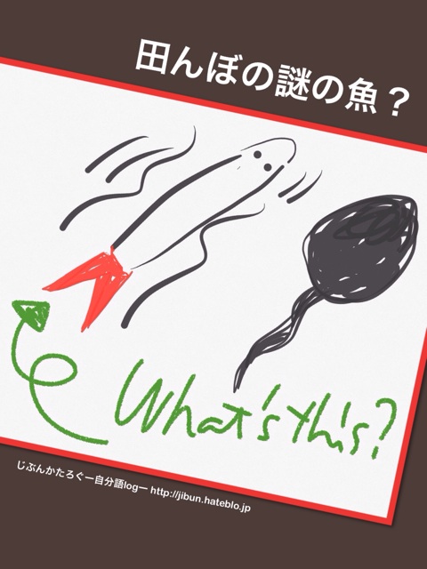 f:id:ocasira:20140612225231j:plain f:id:ocasira:20140612225231j:plain