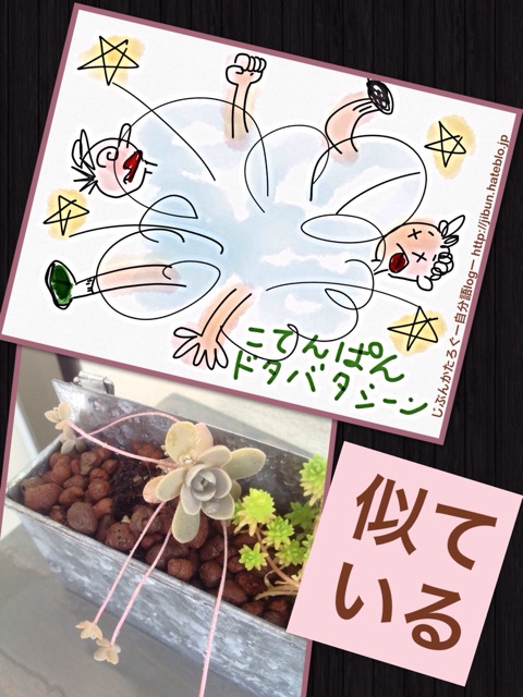 f:id:ocasira:20140627214310j:plain f:id:ocasira:20140627214310j:plain