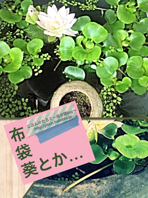 f:id:ocasira:20140703170605j:plain f:id:ocasira:20140703170605j:plain