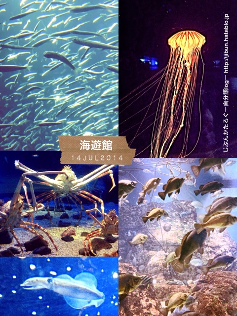 f:id:ocasira:20140714223943j:plain f:id:ocasira:20140714223943j:plain