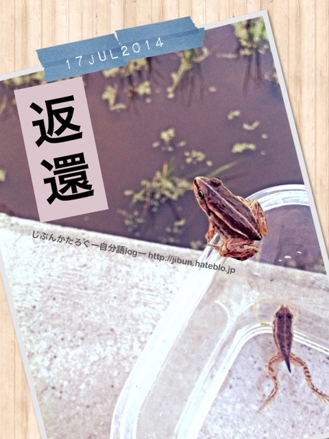 f:id:ocasira:20140717220554j:plain f:id:ocasira:20140717220554j:plain