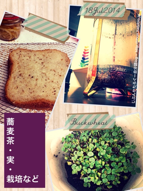 f:id:ocasira:20140718211222j:plain f:id:ocasira:20140718211222j:plain